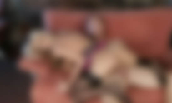 Kostenlose xHamster Porn Videos